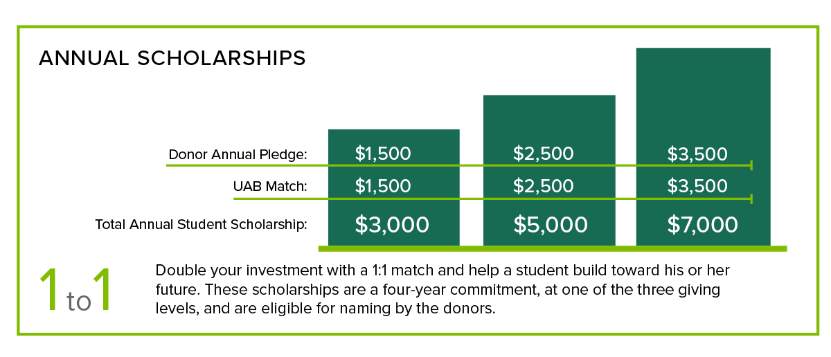 annual_scholarships_infographic