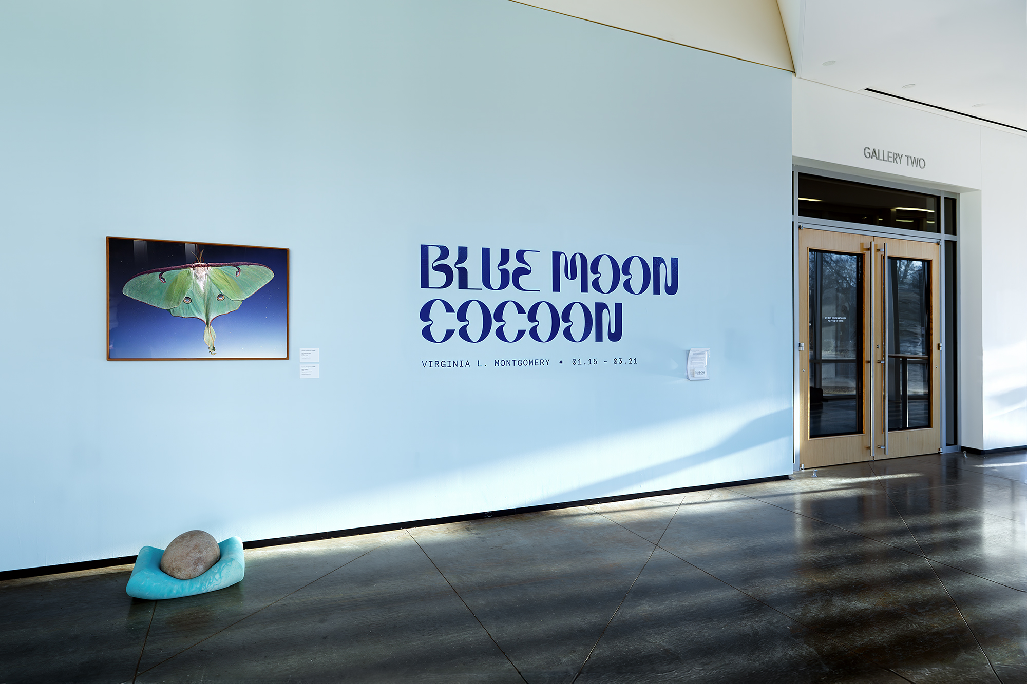 01 VLM BlueMoonCocoon AEVIA 2026