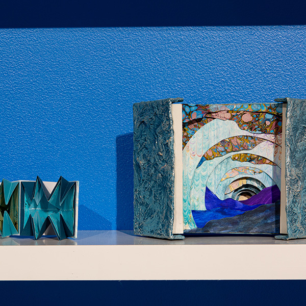 Allyson Comstock - Antarctica: A Disappearing Continent