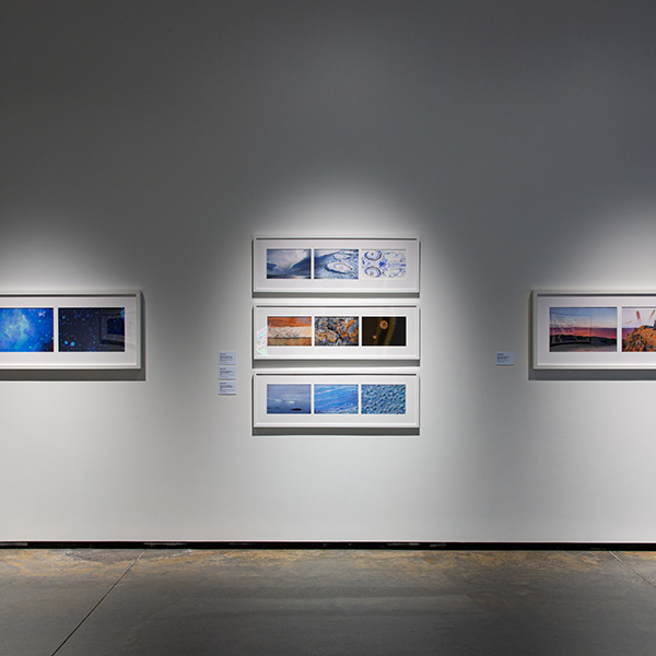 Allyson Comstock - Antarctica: A Disappearing Continent