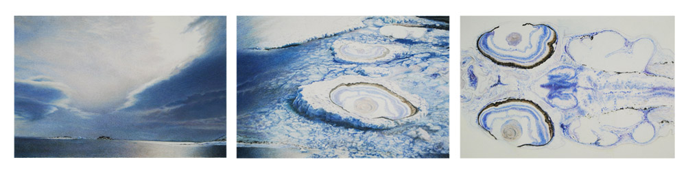 Micro, Macro and In-between #6 (views: Southern Ocean, ice in Arthur Harbor, cross section of a rock cod) by Allyson Comstock