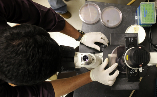 Student doing lab work. 