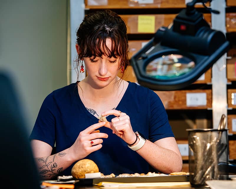 Anthropology graduate student studying rocks and other artifacts.