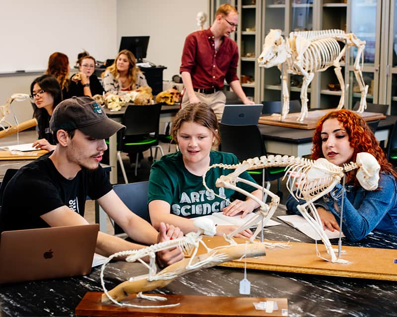 Anthropology students discussing skeletal remains in a group.