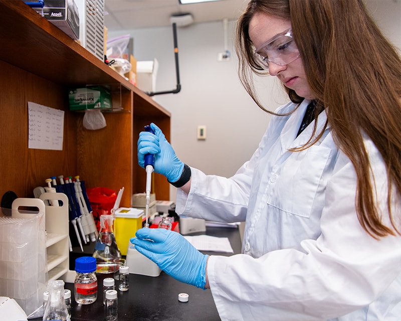 MSFS Program Requirements