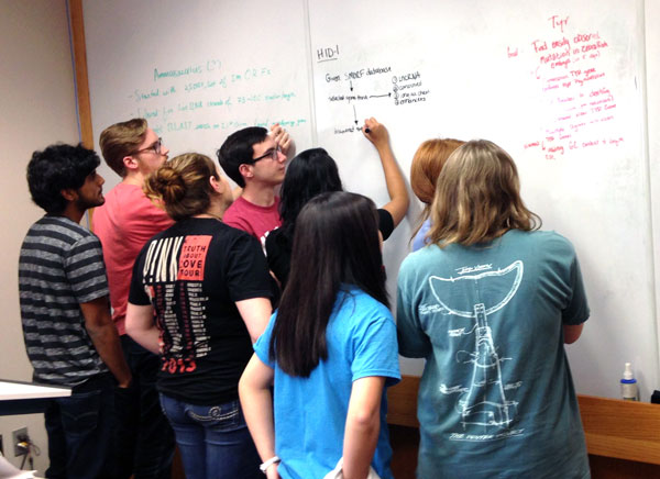 students writing in a whiteboard