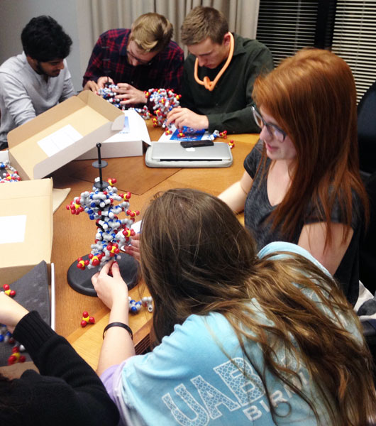 Students with models