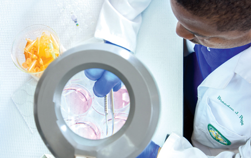 student working in lab