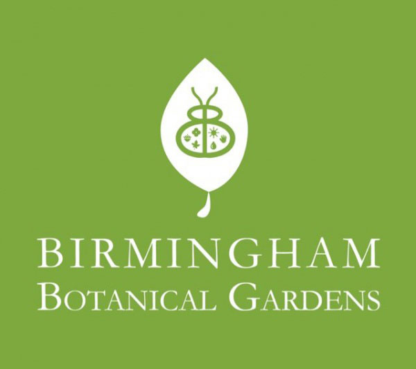 BBG logo. 