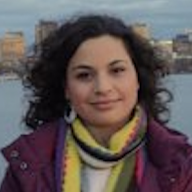 Aseel Farhat