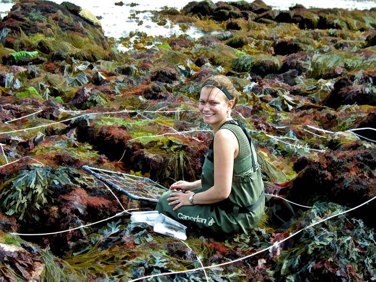 Stacy Krueger-Hadfield lang