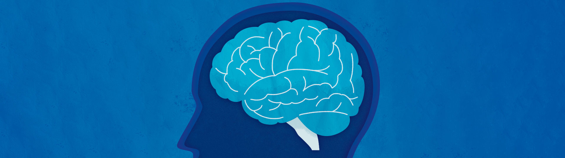 Illustration of a brain in the side-profile outline of a human head. 