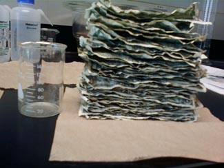 Currency after being tested for meth. 