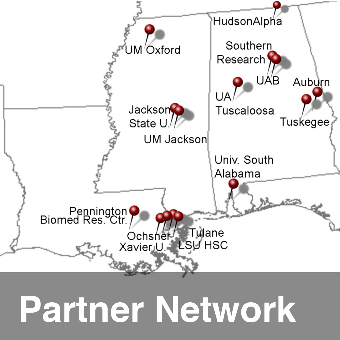 Partner Network