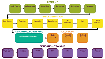 Clinical Trial Lifecyle Domain