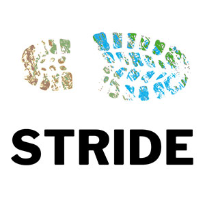 STRIDE