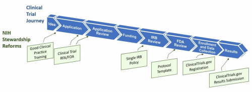 clinical trial journey