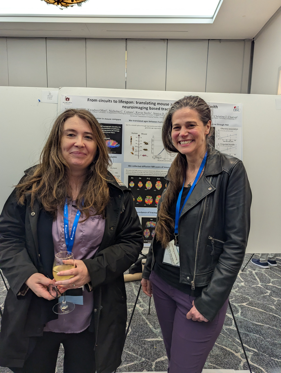 PXL 20250305 230017535 Large