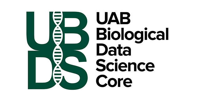 BDS Logo