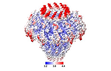 Cryo-Electron Microscopy Facility (CEMF)