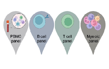 The Immunophenotyping Core