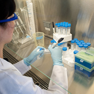 Southeastern Biosafety Lab (SEBLAB) BSL-3/ABSL-3 high containment core facility