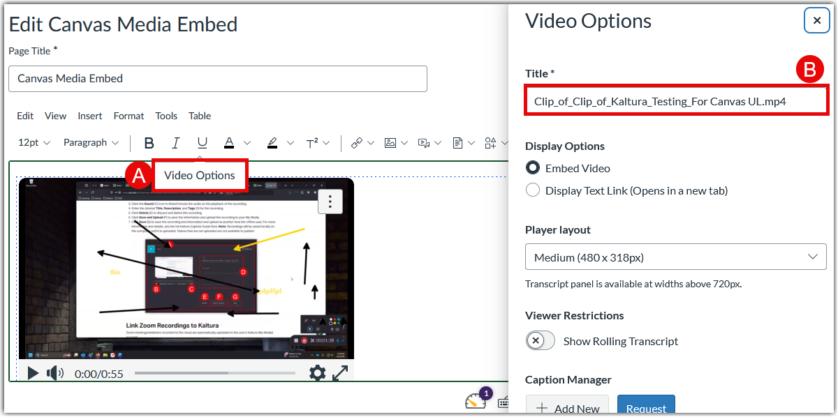 RCE Canvas Media Replacement Step 2