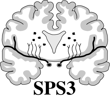 SPS3 logo