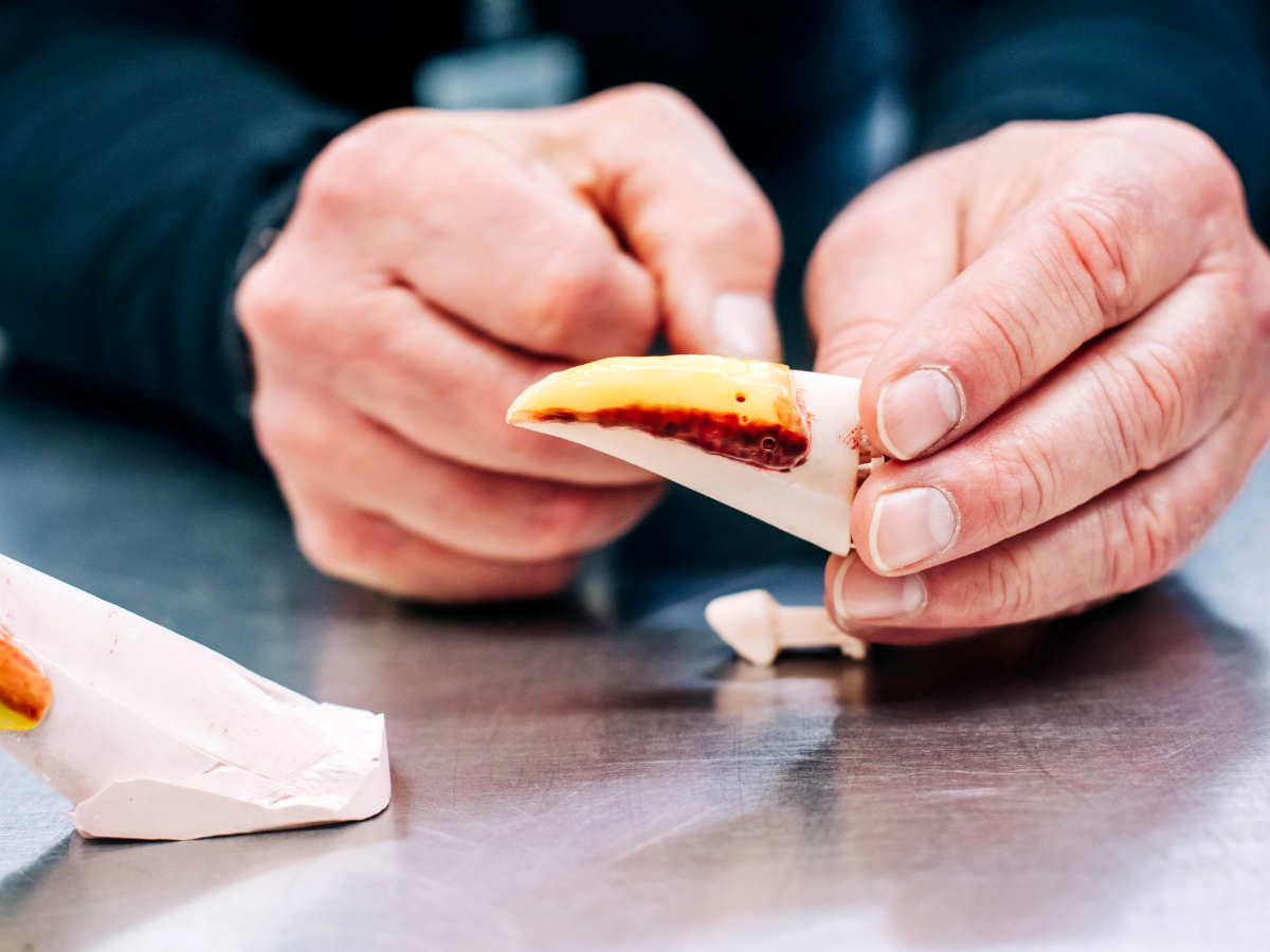 hands holding a prosthetic beak