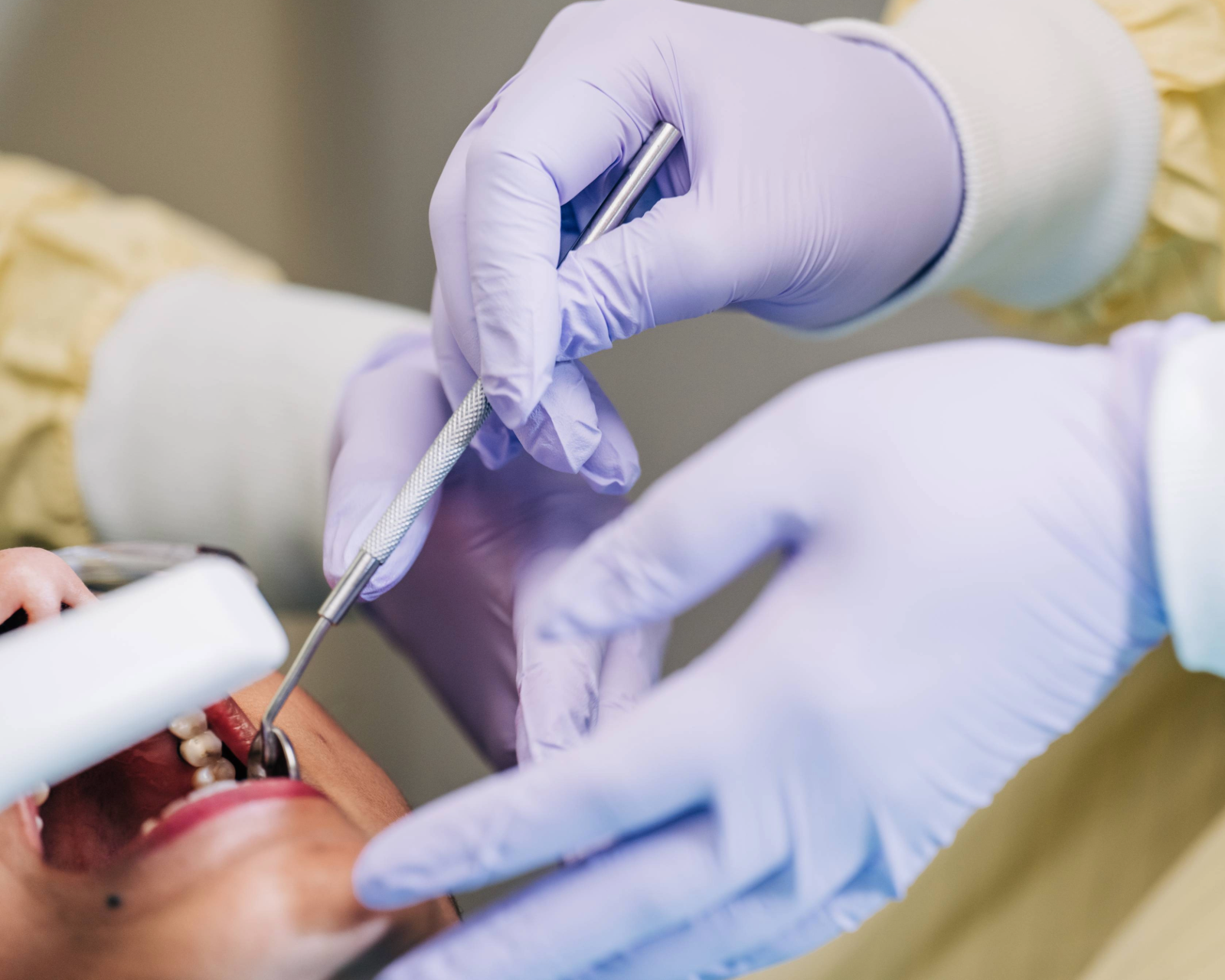 Head and Neck Oncology Fellowship Program