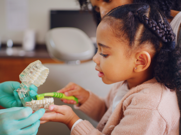 Mom and little girl at dental appointment, and gloved hands holding tooth model for brushing demonstration