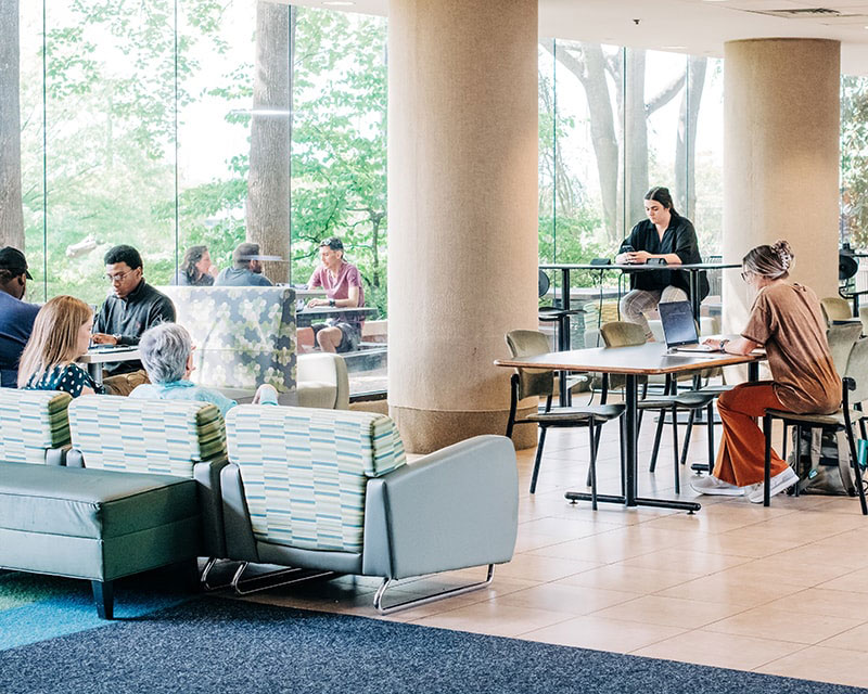 SOEHS students sitting at tables and on couches in a glass-walled study area.