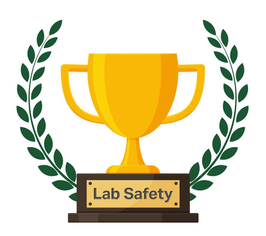 A random descriptive image