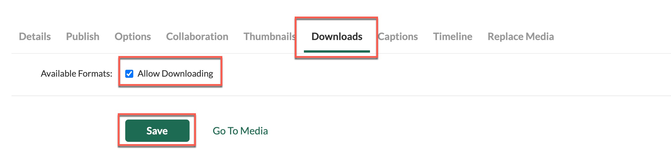 screengrab showing Downloads tab and Allow downloading box