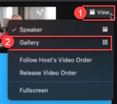 screenshot depicting Custom Gallery View