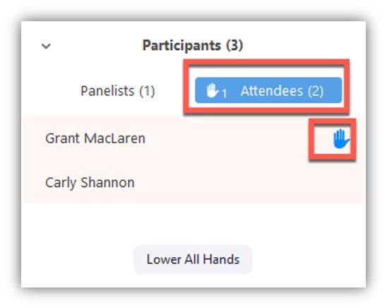 Screen shot showing what it looks like when students raise hands in Zoom.