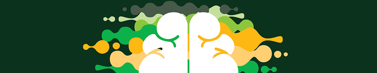 Mental Health Fellow