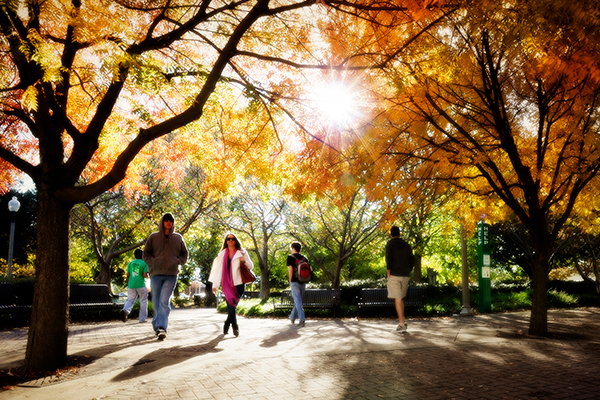 icar home outreach button2 800x800