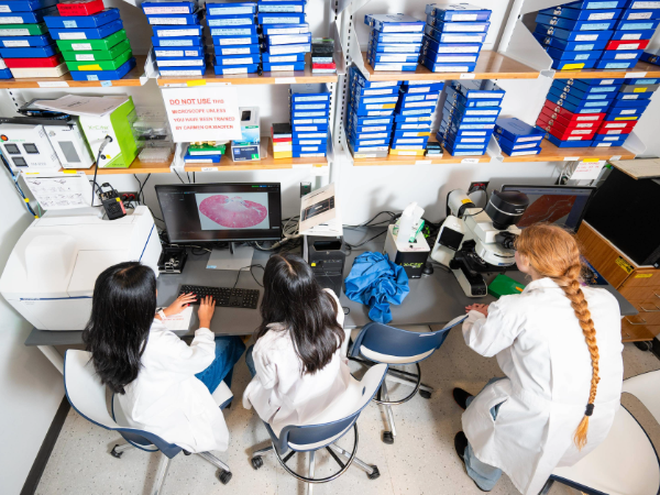 Medical students working in lab on UAB campus
