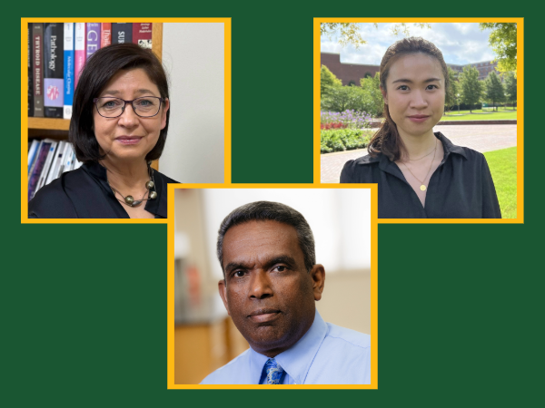 From left, Renata Jaskula-Sztul, Ph.D., Sadanandan Velu, Ph.D.,  and doctoral student Piyasuda Pukkanasut. 
