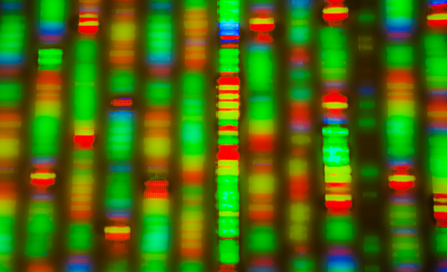 DNA sequence.