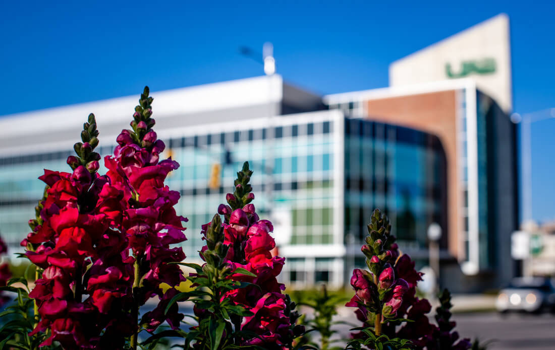 Closeup of scarlet snapdragons with the UAB Hill Student Center and blue sky in background.