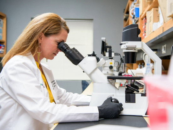 Jennifer DeBerry in lab with microscope