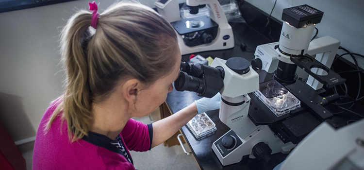 student looking into microscope in biochemistry lab