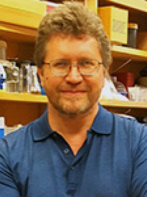 Chesnokov, Igor, Ph.D.