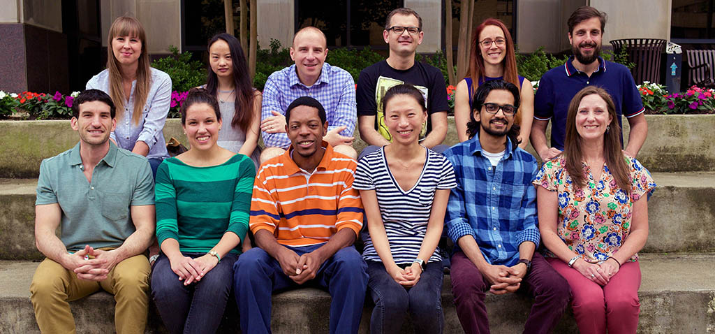 Postdoctoral Fellows