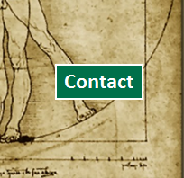 anatomy contact