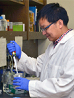 Lianwu Fu, Ph.D.