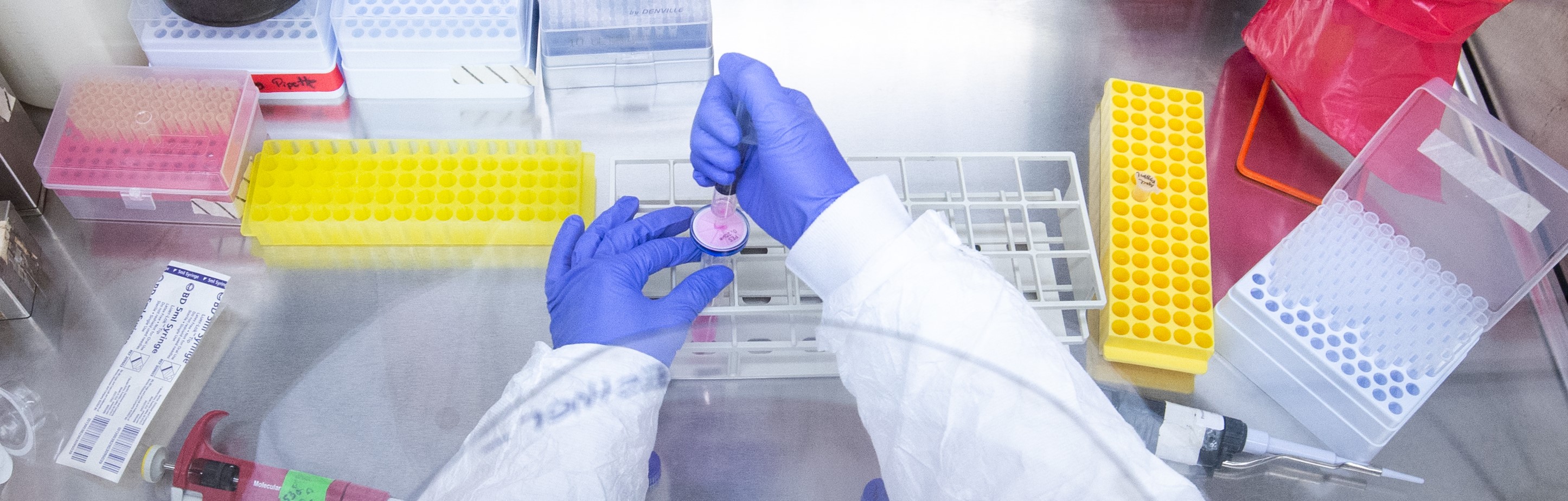 Shot from above, close-up of hands of Dr. Esther Zumaquero Martinez, PhD (Instructor, Microbiology) are wearing PPE (Personal Protective Equipment) gloves while conducting research related to COVID-19 (Coronavirus Disease) in the Lund Laboratory in Shelby Biomedical Research Building, May 2020.