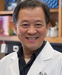 Xu, Hui, Ph.D.